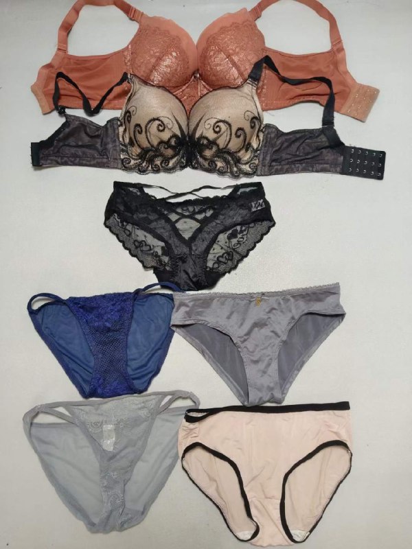 Photo gallery from 20231014, image 1