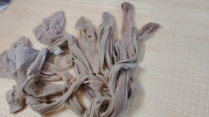 Photo gallery from 20231107, image 8