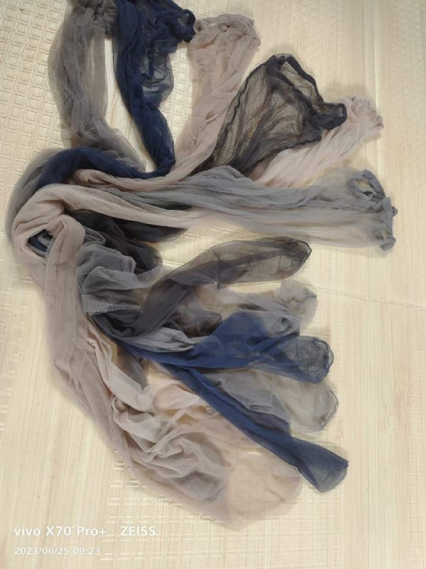 Photo gallery from 20230625, image 8