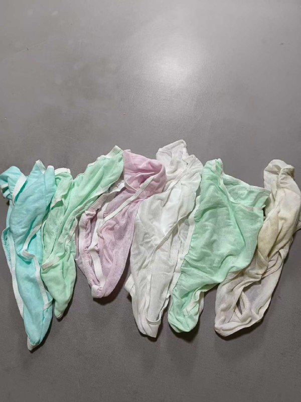 Photo gallery from 20250811, image 5