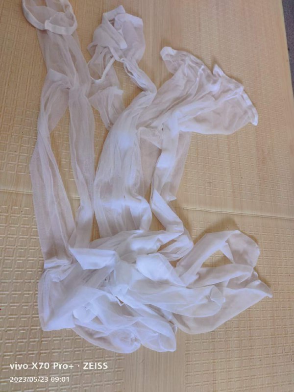 Photo gallery from 20230523, image 5