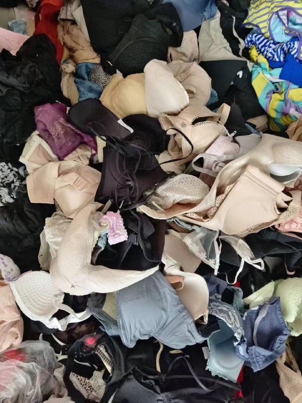 Photo gallery from 20240411, image 2