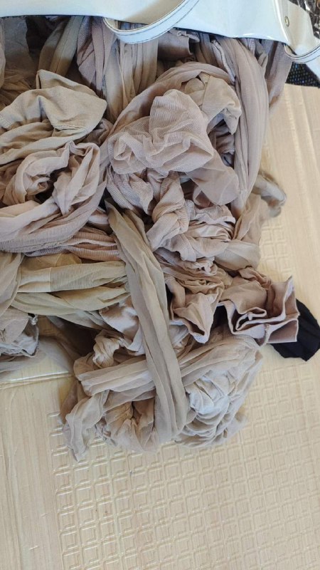 Photo gallery from 20230910, image 2