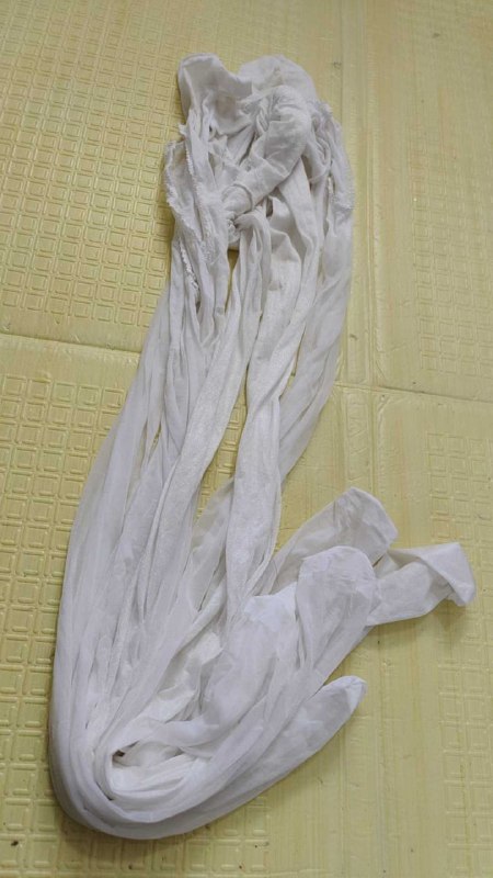 Photo gallery from 20251102, image 12