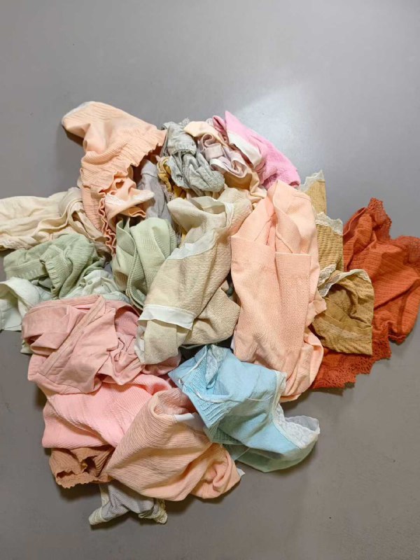 Photo gallery from 20251103, image 1