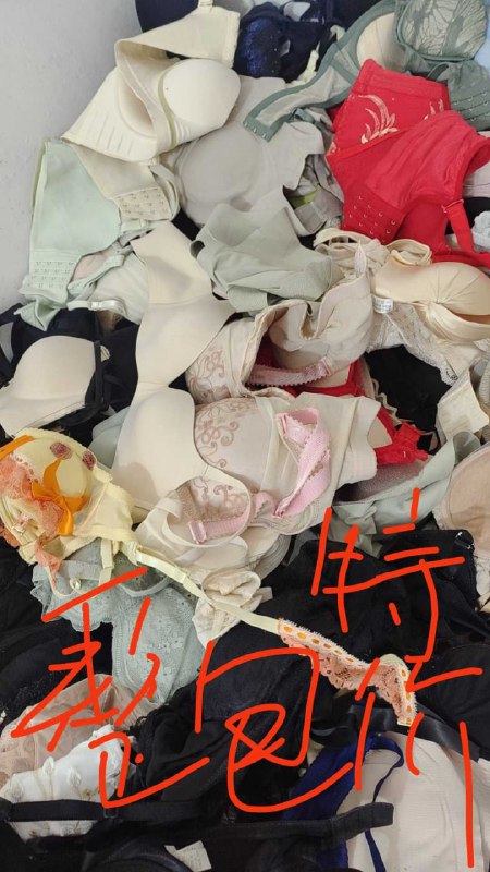 Photo gallery from 20250820, image 11