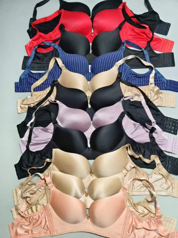 Photo gallery from 20231112, image 6