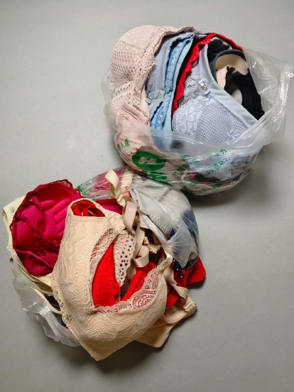 Photo gallery from 20231111, image 5