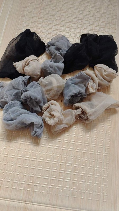 Photo gallery from 20231029, image 2