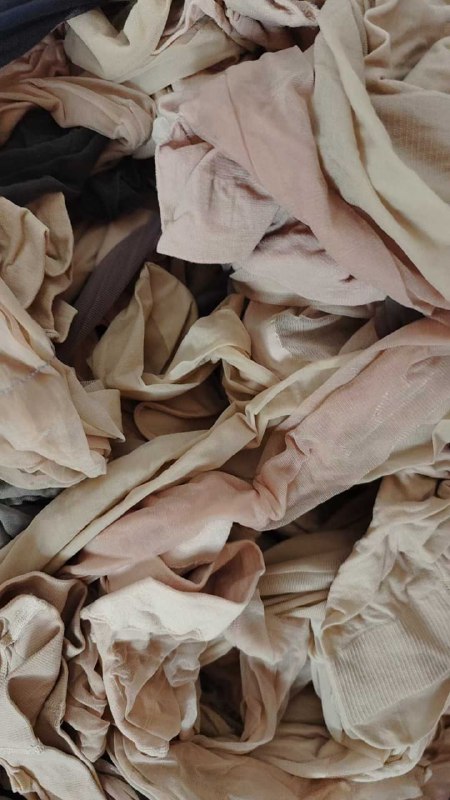 Photo gallery from 20250804, image 10