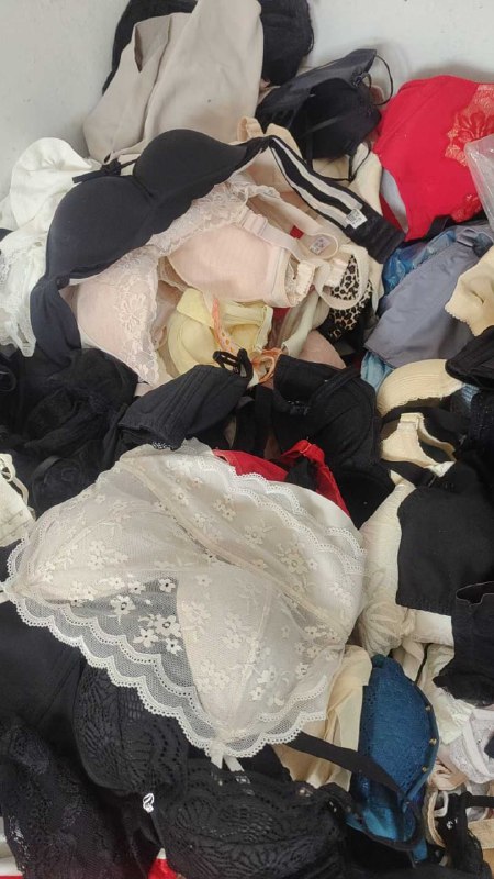 Photo gallery from 20251027, image 10