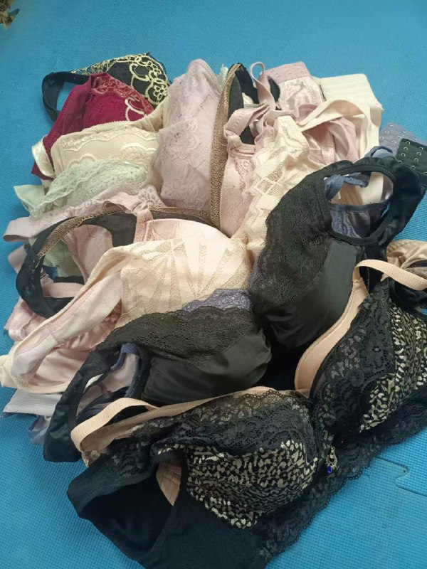 Photo gallery from 20230606, image 6