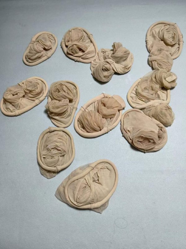 Photo gallery from 20231111, image 3