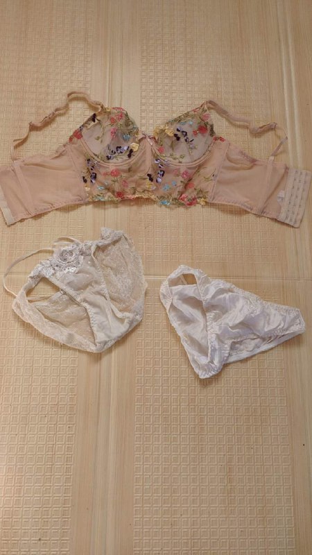 Photo gallery from 20231101, image 4