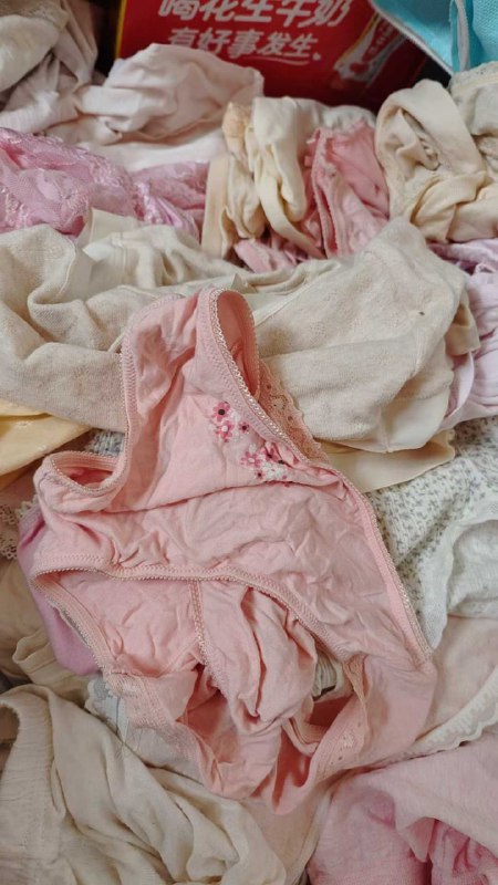 Photo gallery from 20250919, image 10