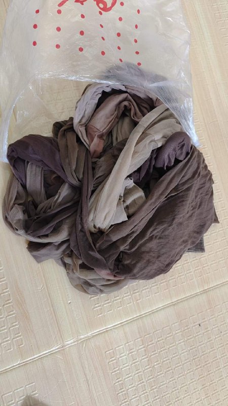 Photo gallery from 20230915, image 8