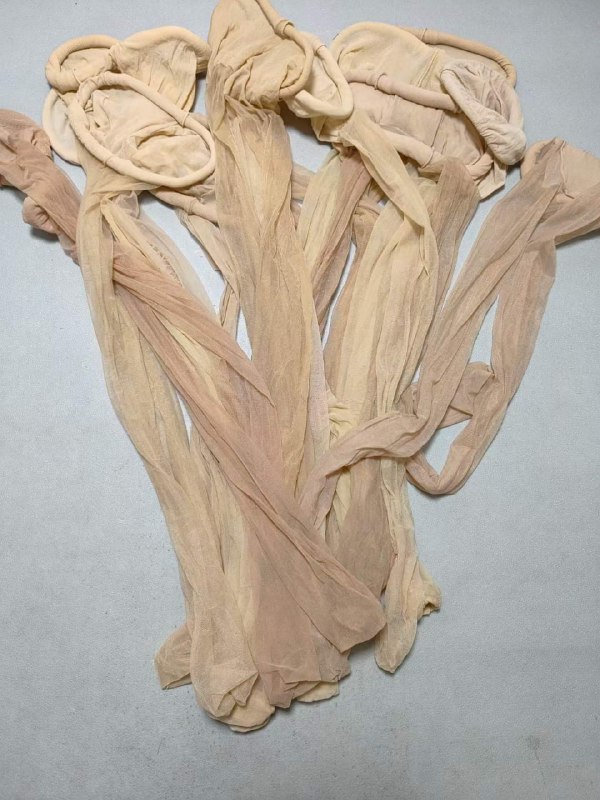 Photo gallery from 20231201, image 7