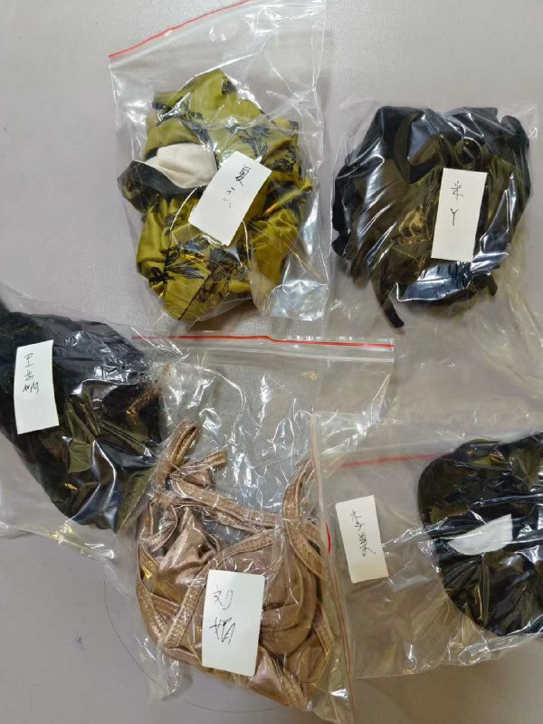 Photo gallery from 20251009, image 7