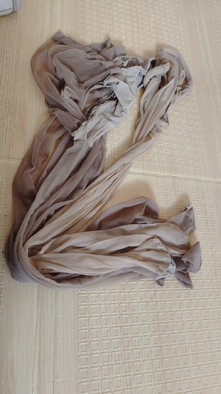 Photo gallery from 20230820, image 10