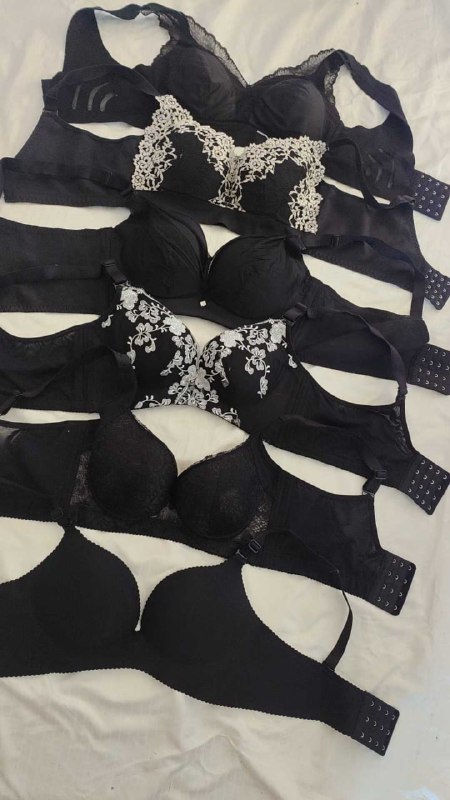 Photo gallery from 20250917, image 7