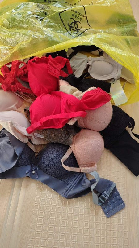 Photo gallery from 20231113, image 9