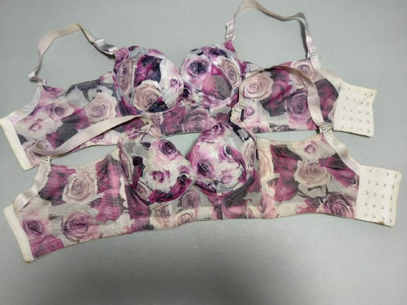 Photo gallery from 20230822, image 11