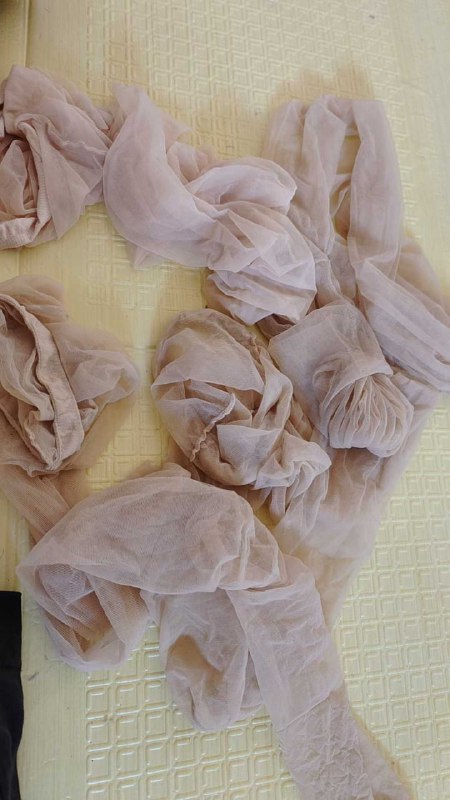 Photo gallery from 20250913, image 10