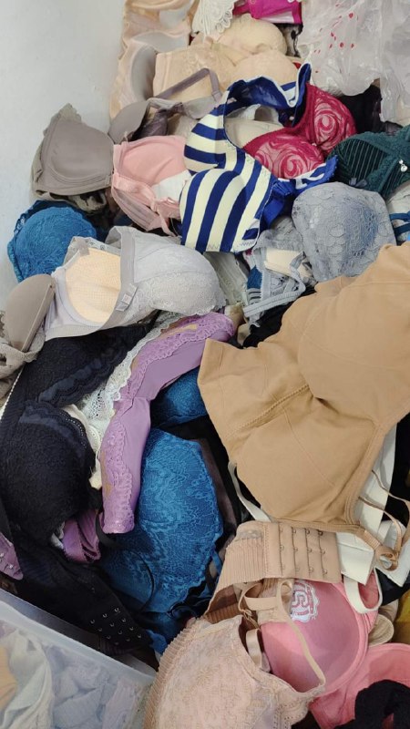 Photo gallery from 20240519, image 5