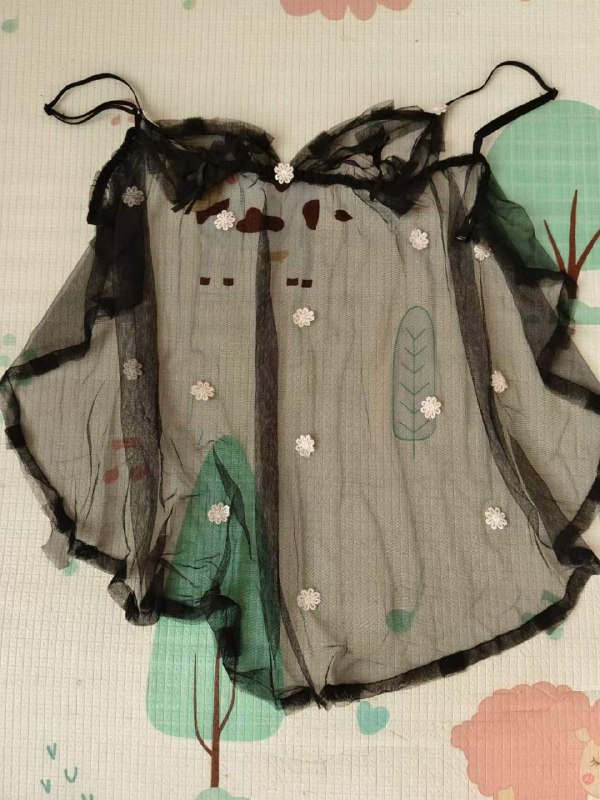 Photo gallery from 20231110, image 8