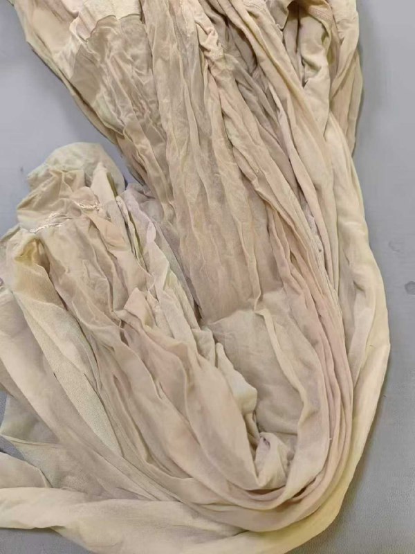 Photo gallery from 20250828, image 7