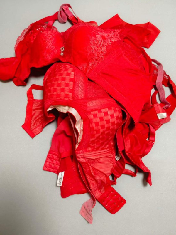 Photo gallery from 20230826, image 11