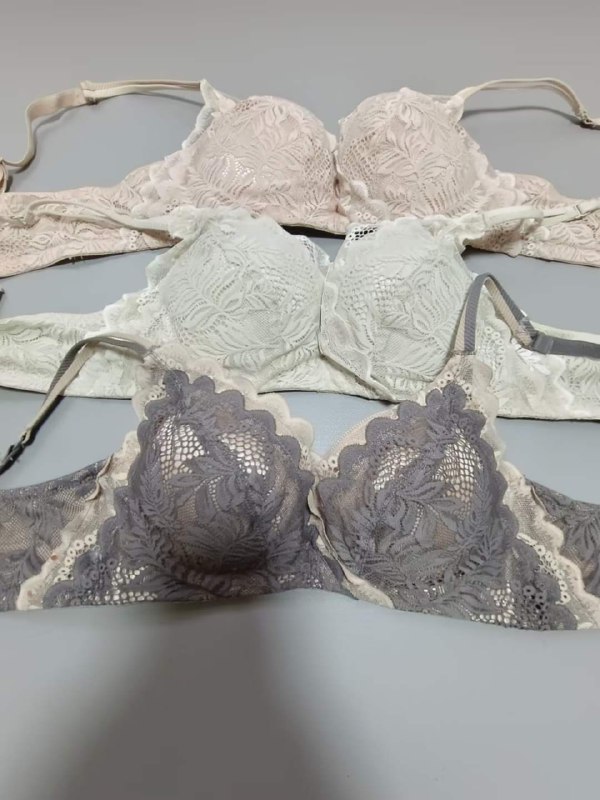 Photo gallery from 20240608, image 1