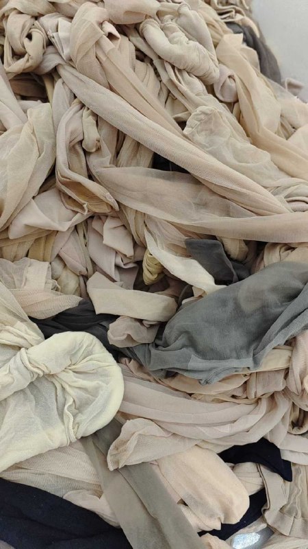 Photo gallery from 20250817, image 10