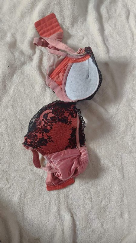 Photo gallery from 20230927, image 3