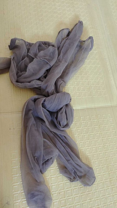 Photo gallery from 20250803, image 11