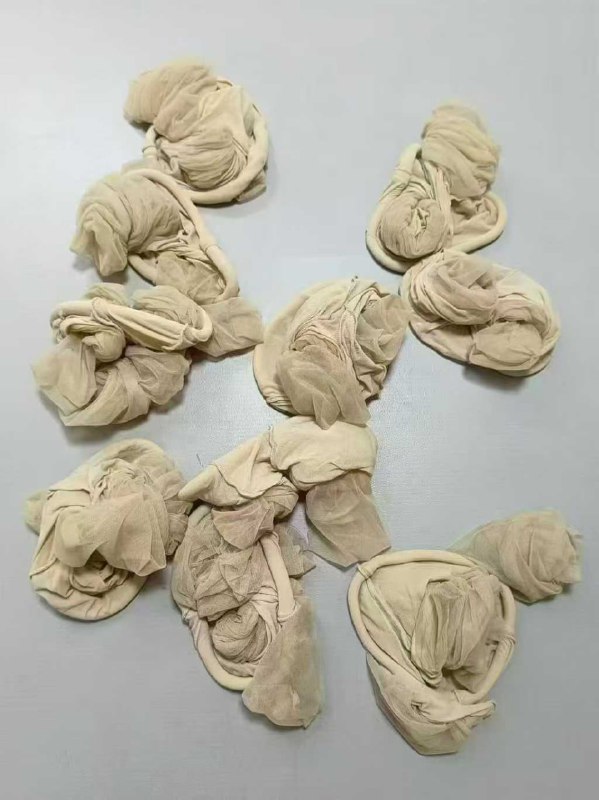 Photo gallery from 20250831, image 6