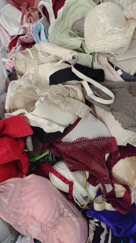 Photo gallery from 20240516, image 1