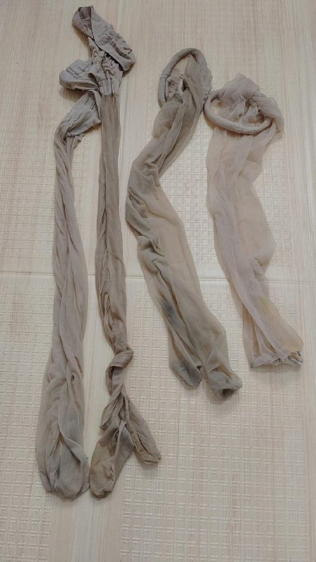 Photo gallery from 20240105, image 1