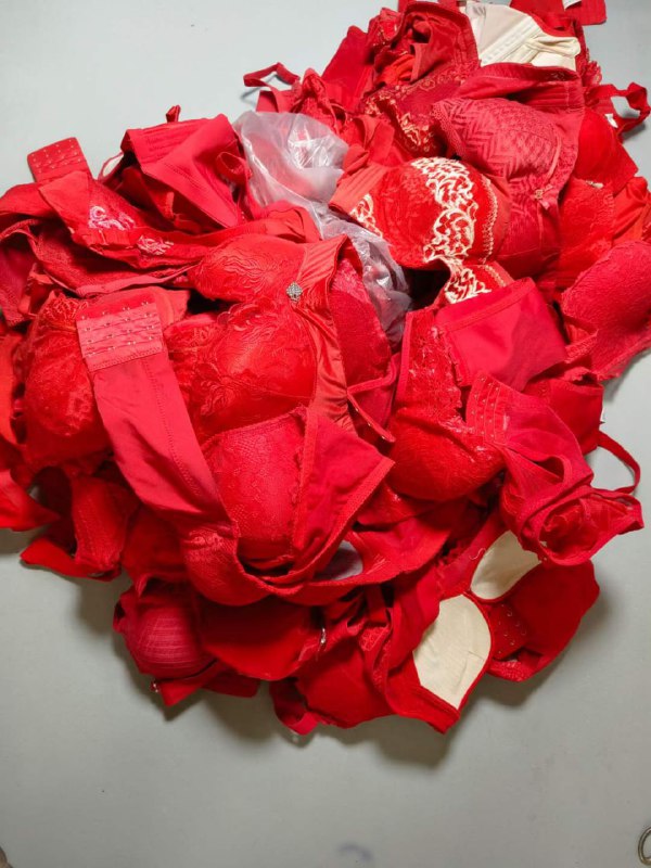 Photo gallery from 20240115, image 6