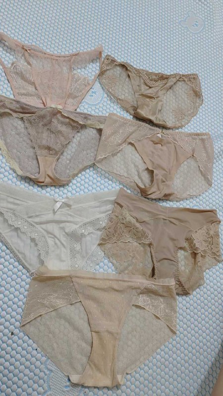 Photo gallery from 20250817, image 2