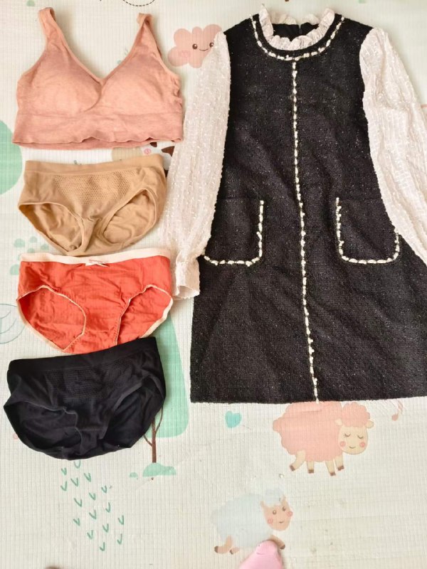 Photo gallery from 20231110, image 1