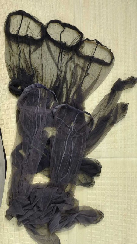 Photo gallery from 20251110, image 5