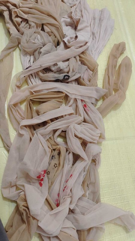 Photo gallery from 20251025, image 2