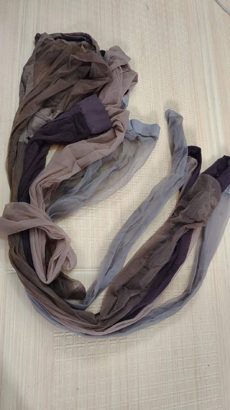 Photo gallery from 20231212, image 1