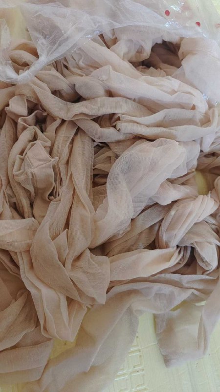 Photo gallery from 20250904, image 7