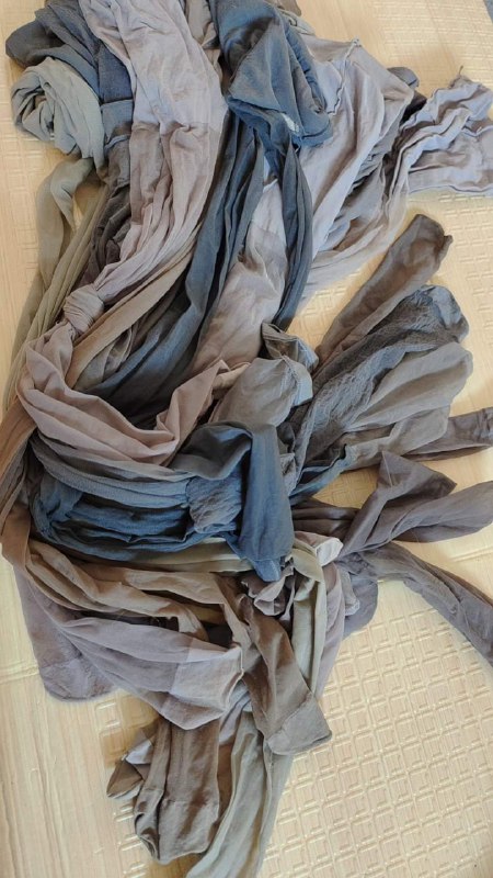 Photo gallery from 20230912, image 10