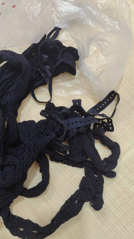 Photo gallery from 20240715, image 7