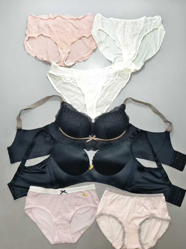 Photo gallery from 20250828, image 5