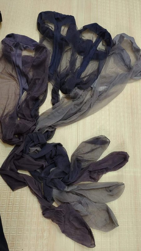 Photo gallery from 20240425, image 3