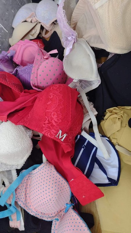 Photo gallery from 20240604, image 12